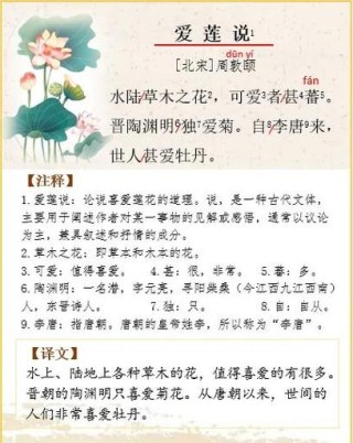 荷花为什么会“出淤泥而不染”，武汉初中生对照《爱莲说》去探秘