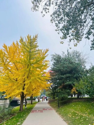 夏天和秋天的矛盾