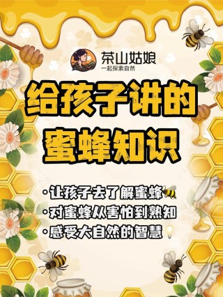 高二1000字说明文：蜜蜂的秘密