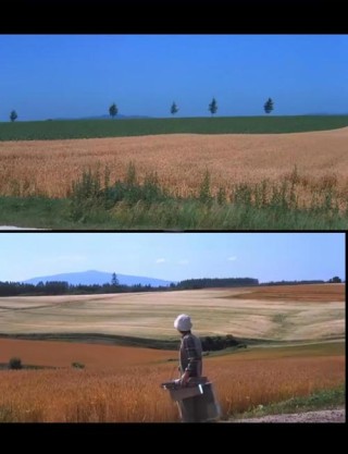 蒙先生的青春文选《梦里梦外》