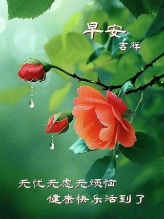 免打字经典温馨问候祝福短语精选，清晨唯美漂亮祝福图文短句