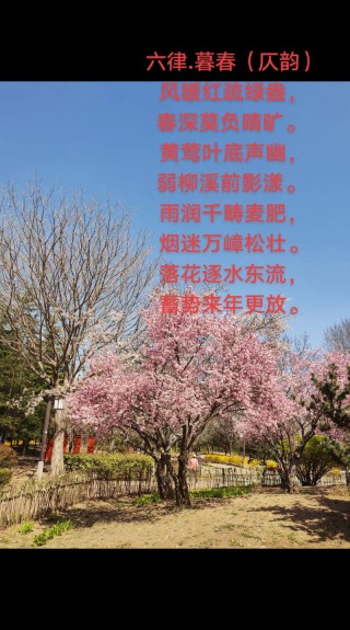 花香留恋，春雨缠绵