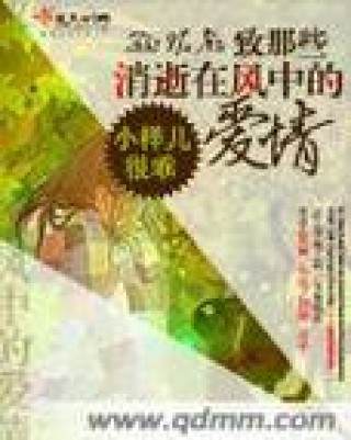 遗失在风中的爱情