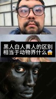 美国网友：为什么所有的白人都是种族主义者，黑人到底要什么