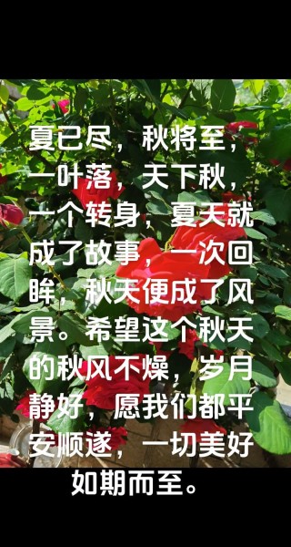 时光匆匆，未觉夏尽，时序已是秋