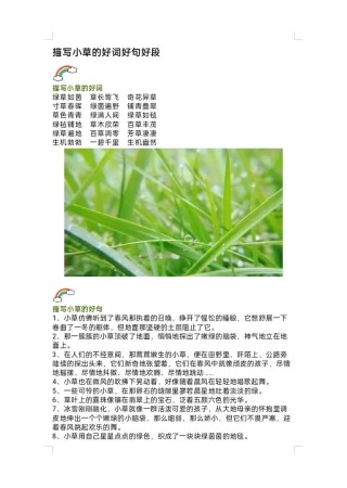 描写植物的好词好句好段及范文！速速收藏