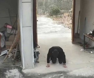 三叩首