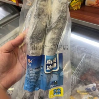 到了南极的鱼，还能回去么？