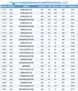 广东以色列理工学院在广东录取分数线、位次、招生人数（2023-2025招生计划）