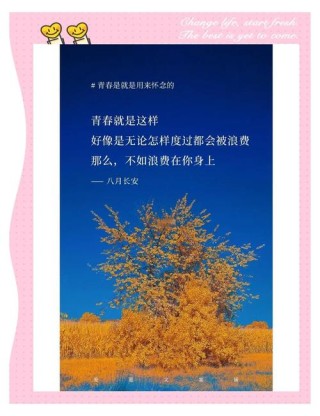 青春活力的正能量句子，精致简洁，激发斗志！