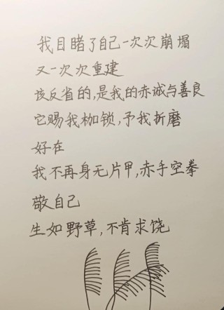 经典语录：真正厉害的人，都懂得自省、自律、自愈