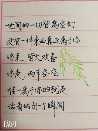 最能打动人心的情感话，触动心弦的情感之语