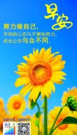 阳光心态正能量的句子，阳光心态，传递正能量句子。