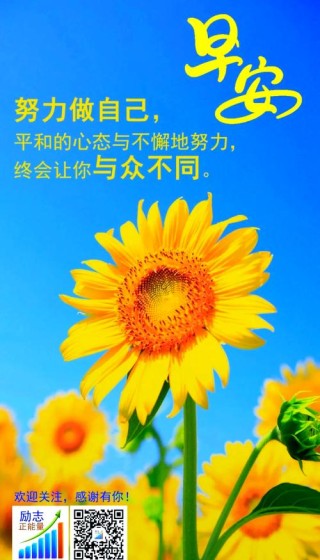 阳光心态正能量的句子，阳光心态，传递正能量句子。