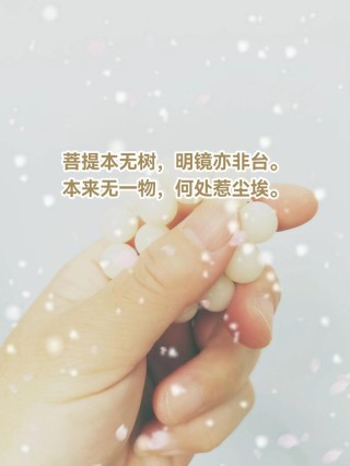 菩提无树，年华墨染