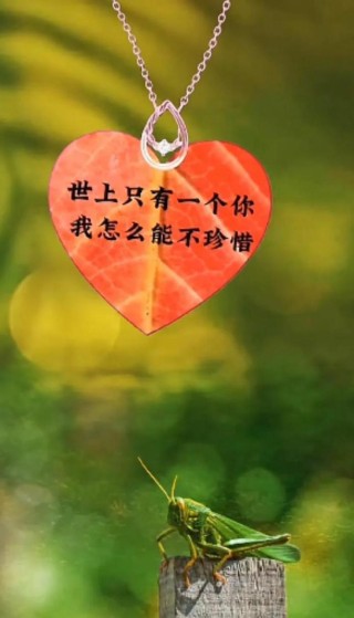 全世界只有一个你，你让我怎能不去珍惜