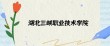 湖北三峡职业技术学院2025年录取分数线（在各省录取最低分是多少）