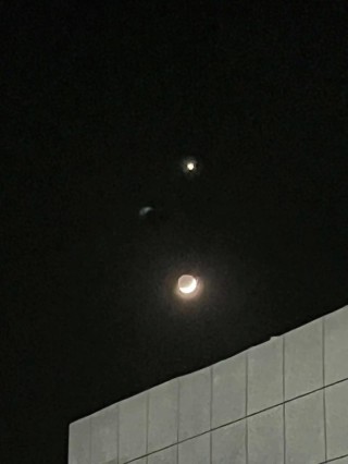 伴得星星看月明