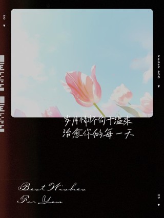 温柔了岁月的精美句子,令人百看不厌
