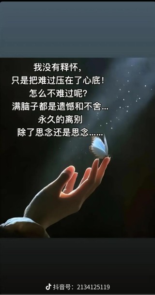 心中隔着梦 ，梦外一道墙