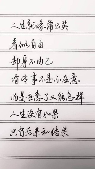 励志文章感悟人生，励志文章，感悟人生的力量与智慧