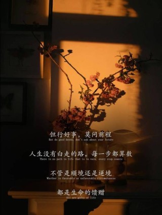 沈从文20句经典语录，治愈心灵，遇见更好的人生