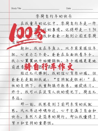 关于我对自行车的看法