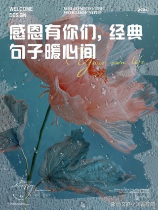 回眸凝望，感谢有你