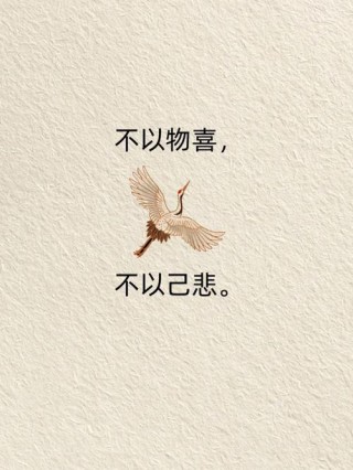 不以物喜不以己悲