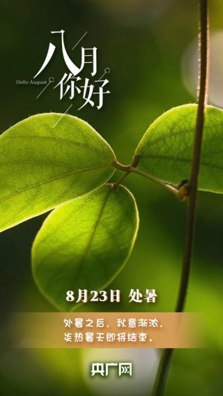 这个八月的意象是否真实?