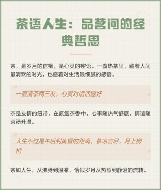品茗人生感悟茶味