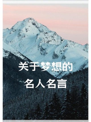 关于理想的名人名言