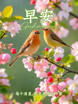 轻轻睁开眼，鸟儿欢叫甜；微微打开窗，清新满心间，早安
