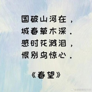 一罐酸豆角万里舐犊情