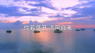 你若盛开，清风自来