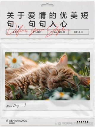 爱情就入心你