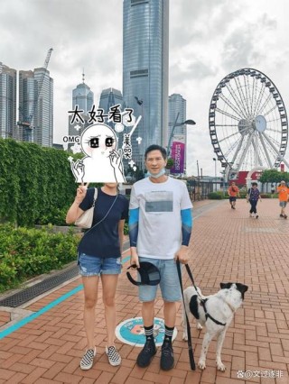 老友依旧