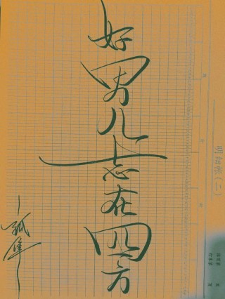 好男儿志在四方的励志句子（男儿当兵 励志句子）