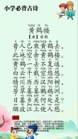 所见·所思 | 夜游黄鹤楼，看今朝黄鹤来时