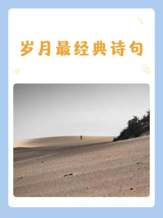 初见，温柔着岁月