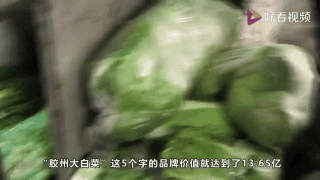 杨佳：不能被一棵大白菜绊倒