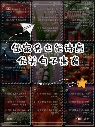 裴景逊 ▏（经验交流）家务事的心语