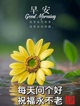 早安心语~问候是温暖的阳光，字字句句生花溢香