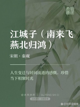 江城子-----与友人安徽董学玉在贵州
