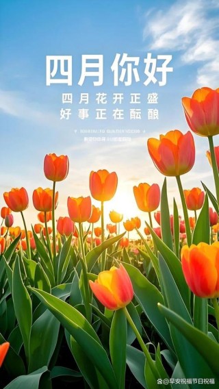 最美人间四月天，发朋友圈的20个句子，每一句都很惊艳