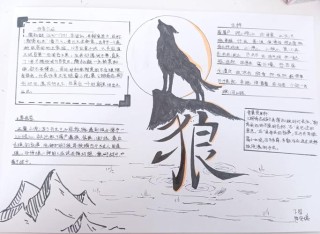 狼的五十句格言，值得一看