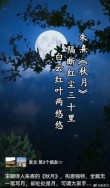 携一轮秋月，慢慢走