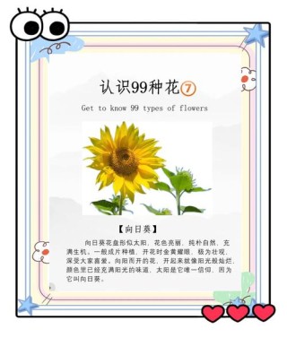 阳光的意义