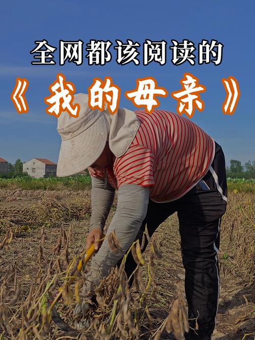 我的农民母亲  第1张