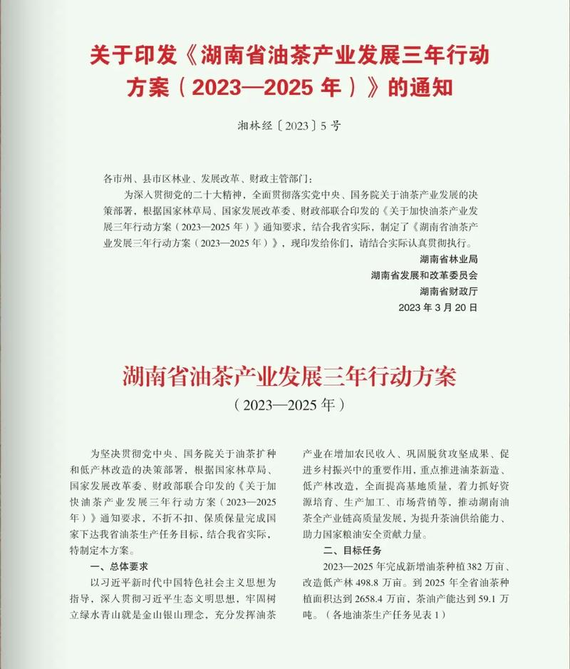 广西油茶产业做成百亿元产业大局已定  第1张
